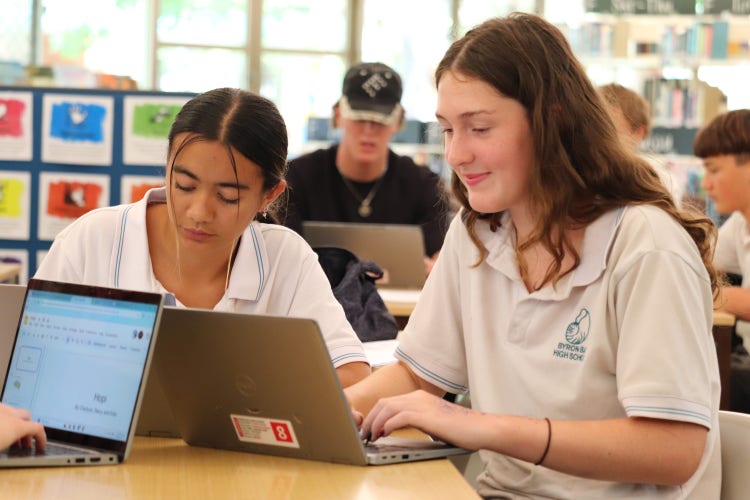 Students using computers in the school library