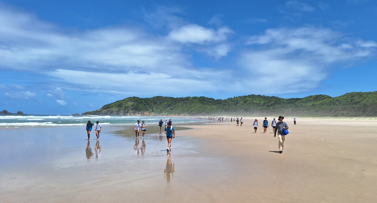 students and their teacher walking along Tallow Beach