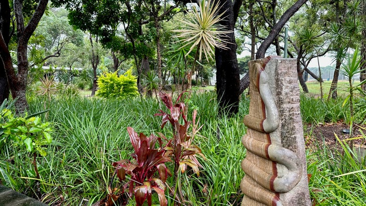 The garden at the front of the school with stone statue of a snake